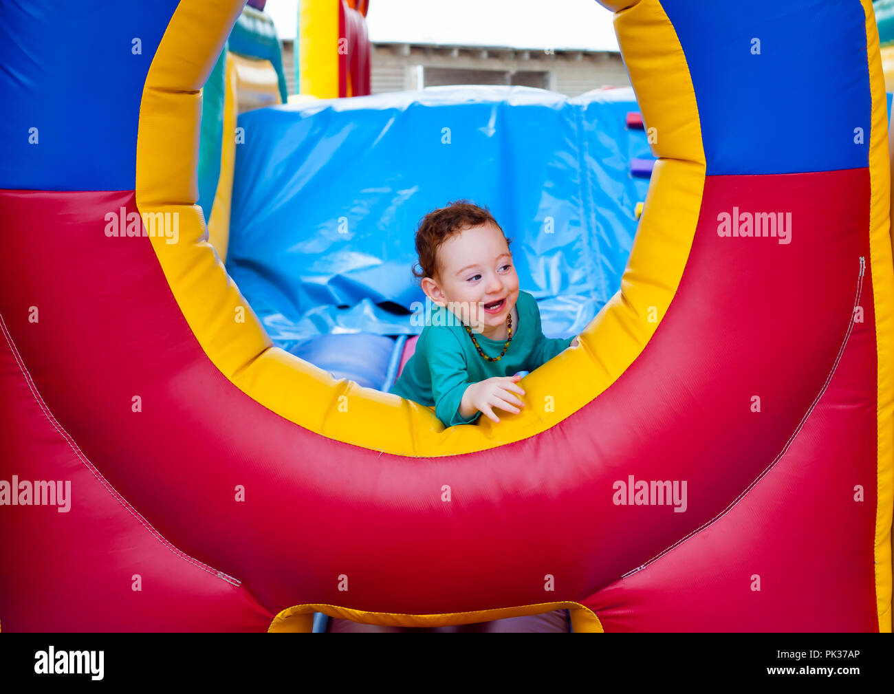 Download Neugierig lustig Desktop Wallpaper Free Neugierig Lustig