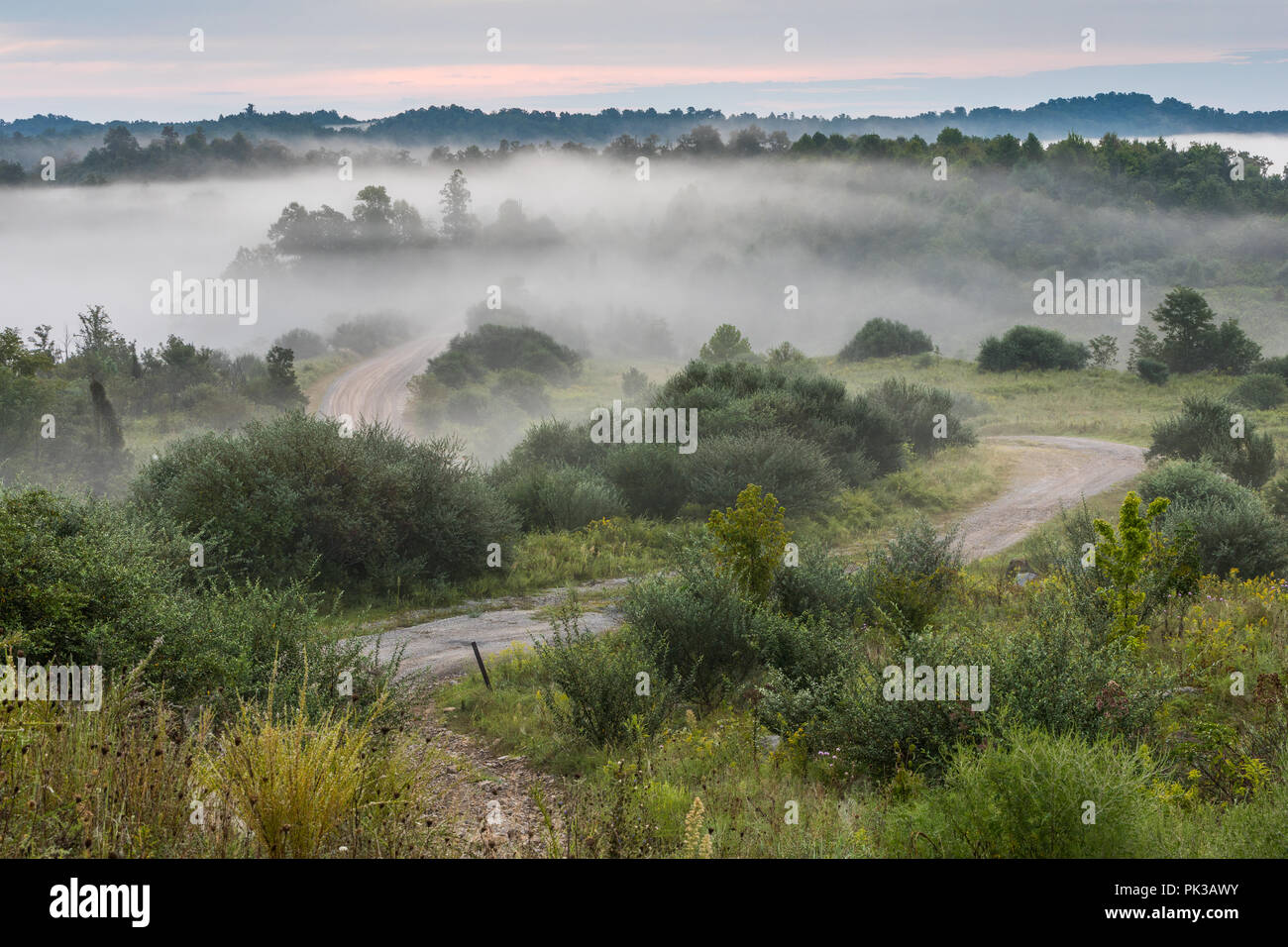 Morgen Nebel steigt in diesem ländlichen amerikanischen Szene. Stockfoto