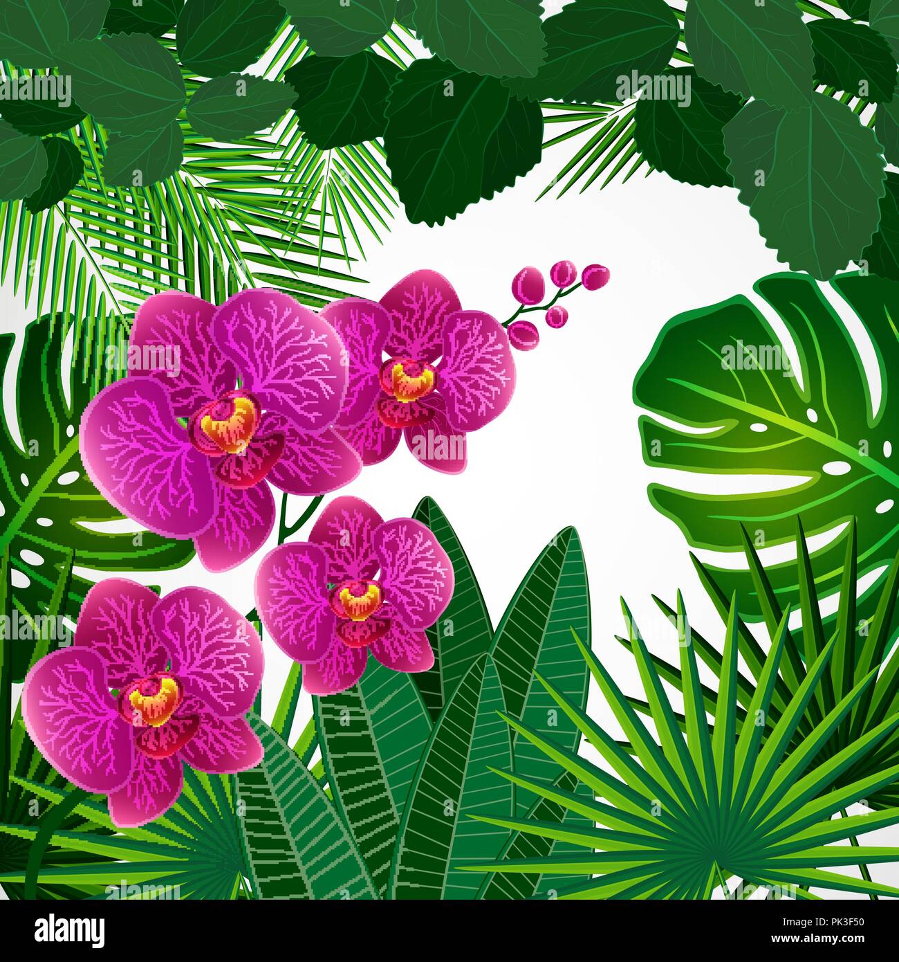 Floral Design Hintergrund. Orchidee Blumen. Stock Vektor