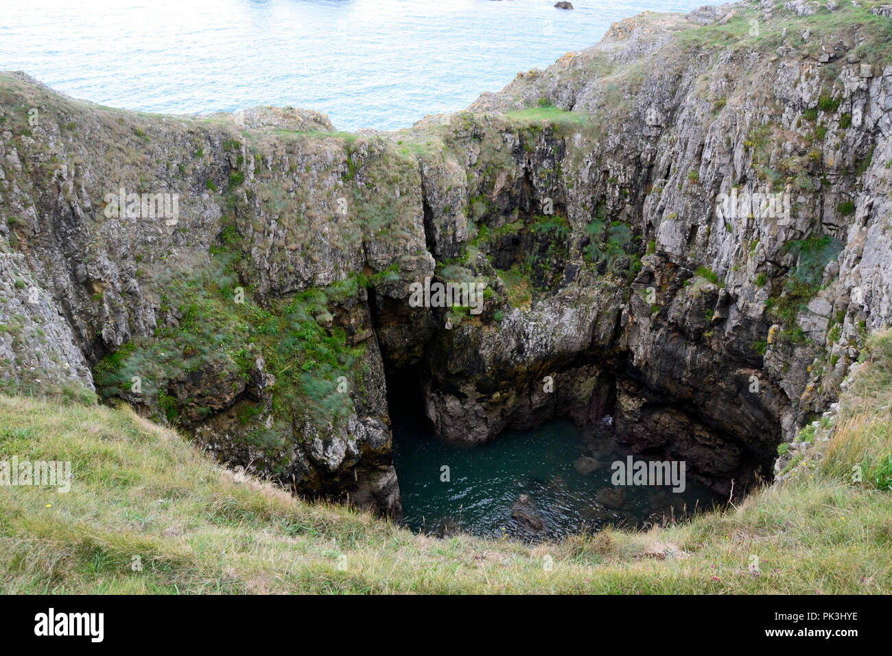 Loch im Felsen an der Küste, die durch die Erosion der Küsten auf der Aufbau Immobilien, Pembrokeshire, Wales, UK erstellt Stockfoto