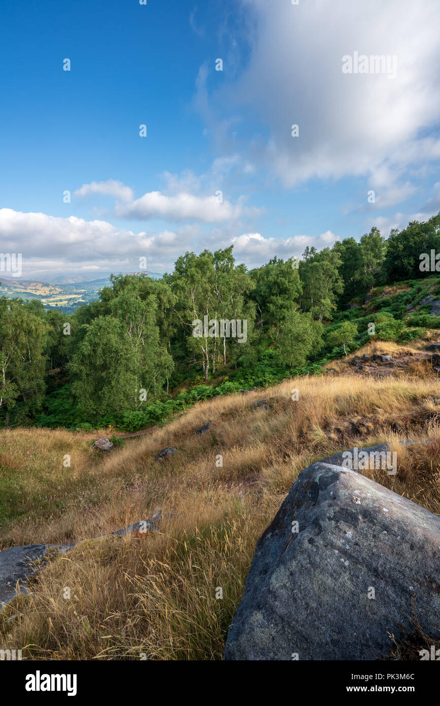 Blick auf die Landschaft im Peak District, Derbyshire, England Stockfoto