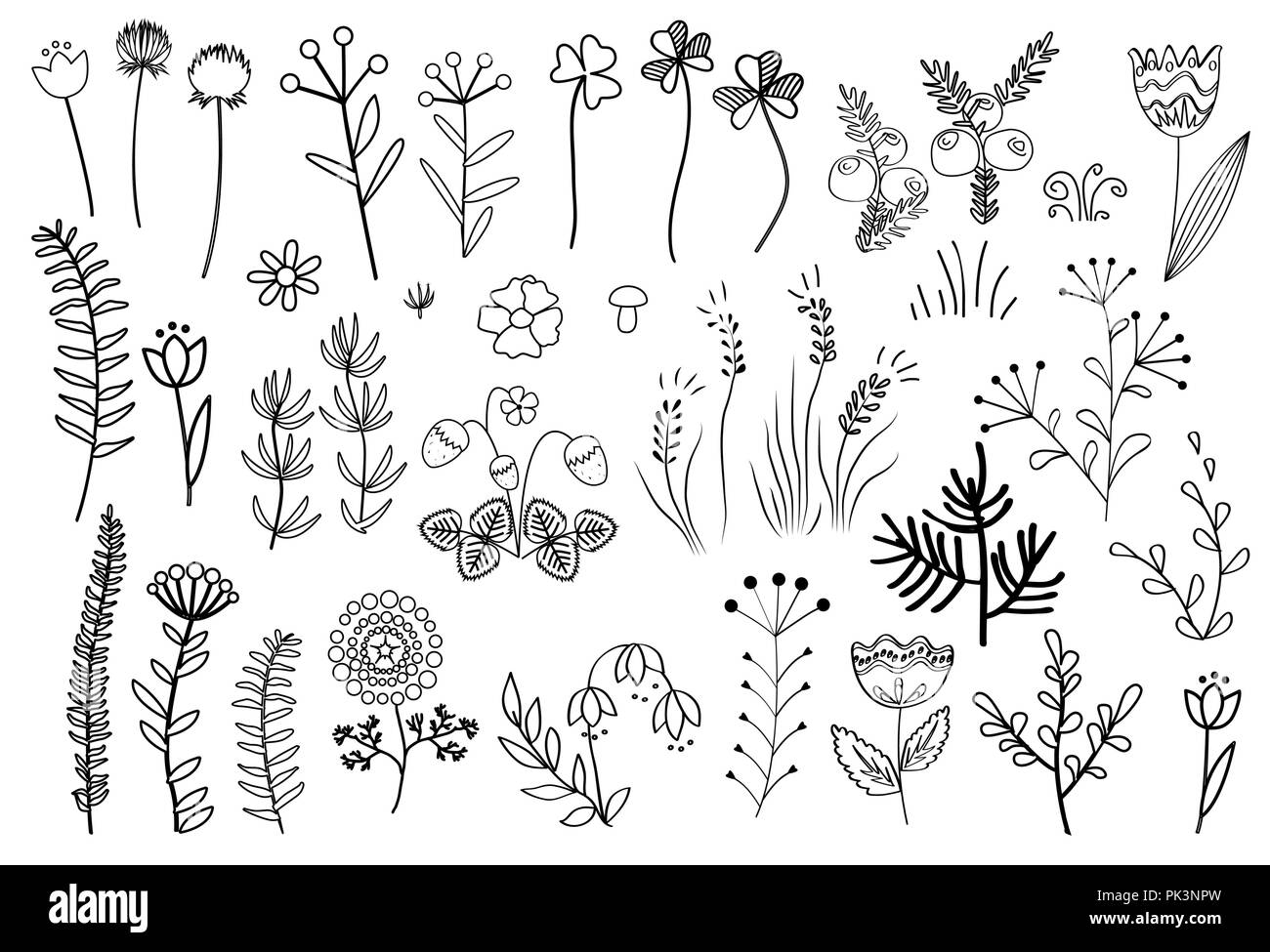 Florale grafische Elemente große Vektor einrichten. Doodle Blumen und Pflanzen Hand gezeichneten Illustrationen. Wald, in den Bergen, und Wiesenkräutern auf Weiß isoliert Stock Vektor