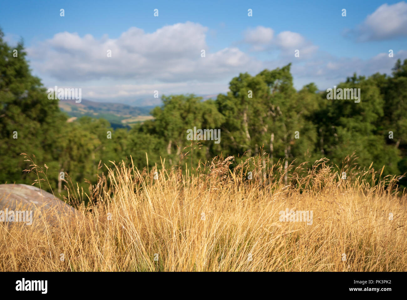 Blick auf die Landschaft im Peak District, Derbyshire, England Stockfoto