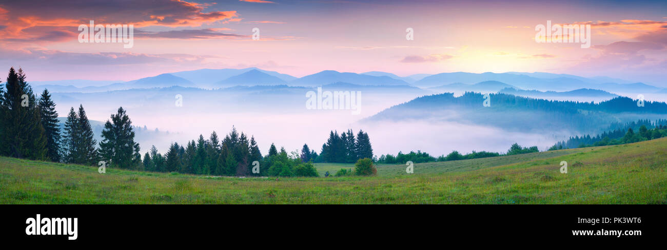 Bunte Sommermorgen in den nebligen Karpaten. Schöne Landschaft mit Sonnenaufgang auf der Borschawa ridge, Ukraine, Europa. Stockfoto