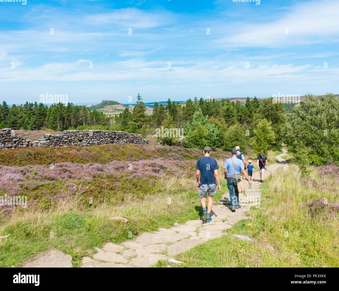 Auf hilers Easby Moor mit Roseberry Topping im Abstand (links). North York Moors National Park, North Yorkshire, England, Vereinigtes Königreich. Stockfoto