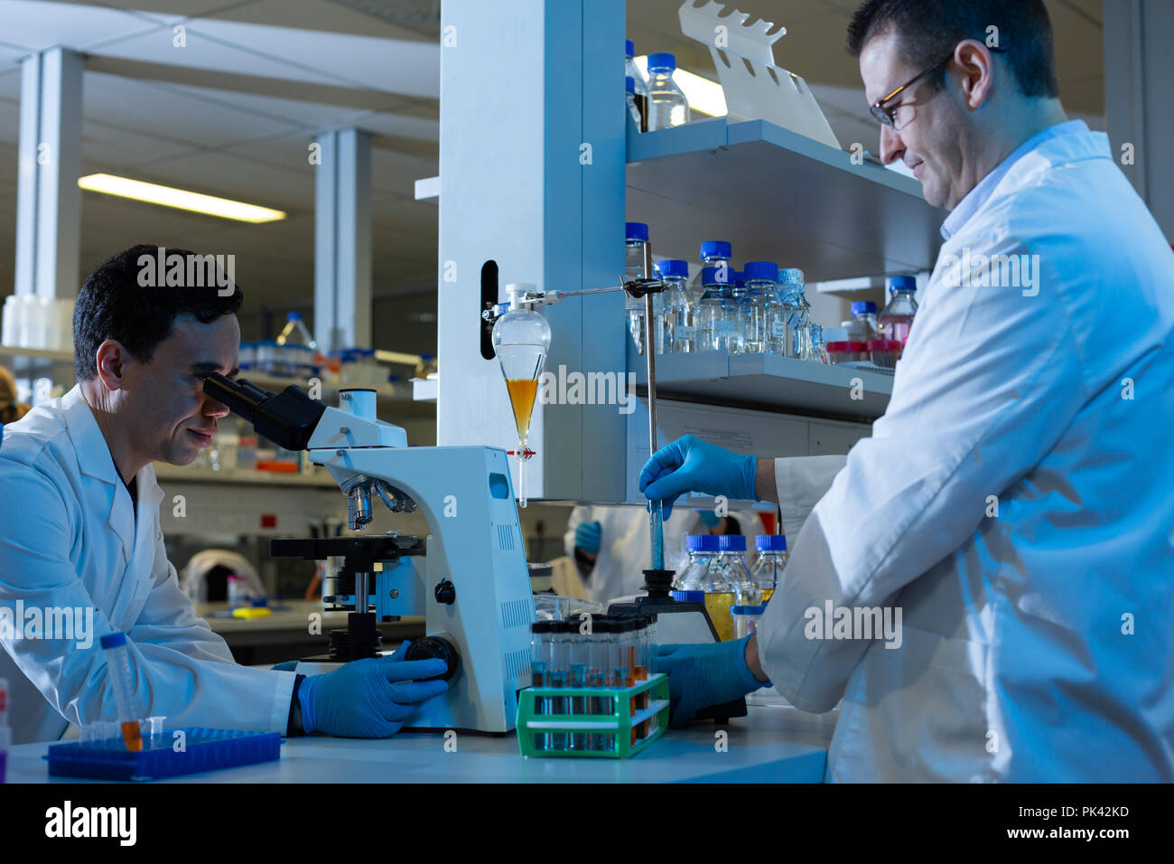 Männliche Wissenschaftler Experimentieren im Labor Stockfoto