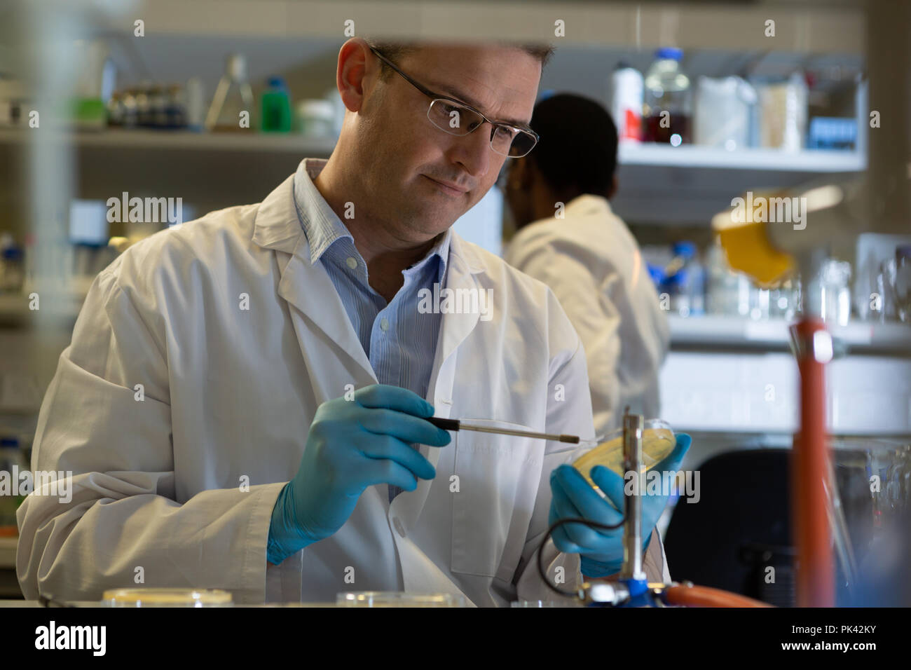 Männliche Wissenschaftler im Labor experimentieren Stockfoto