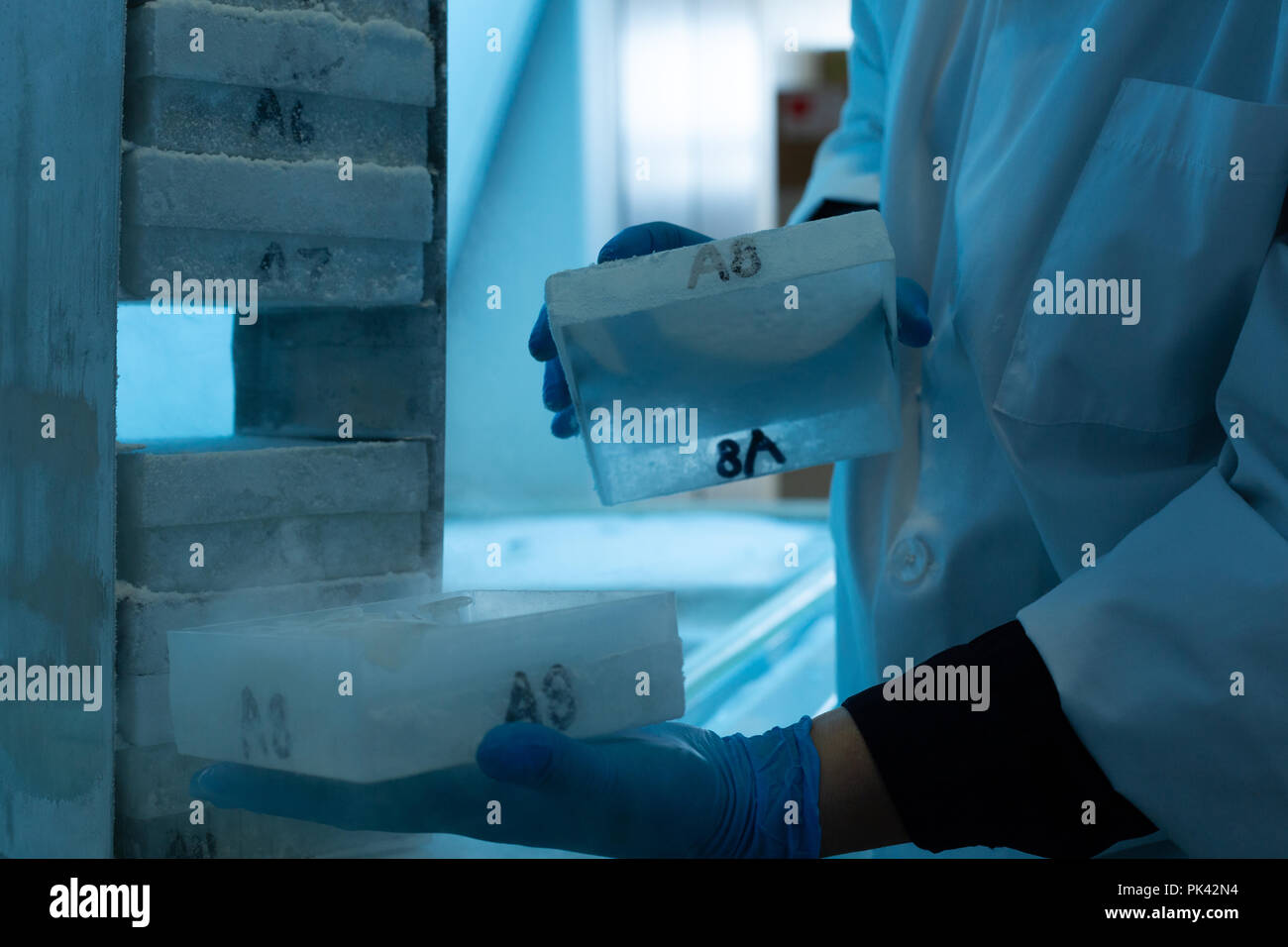 Wissenschaftlerin entfernen Eiswürfel im Labor Stockfoto