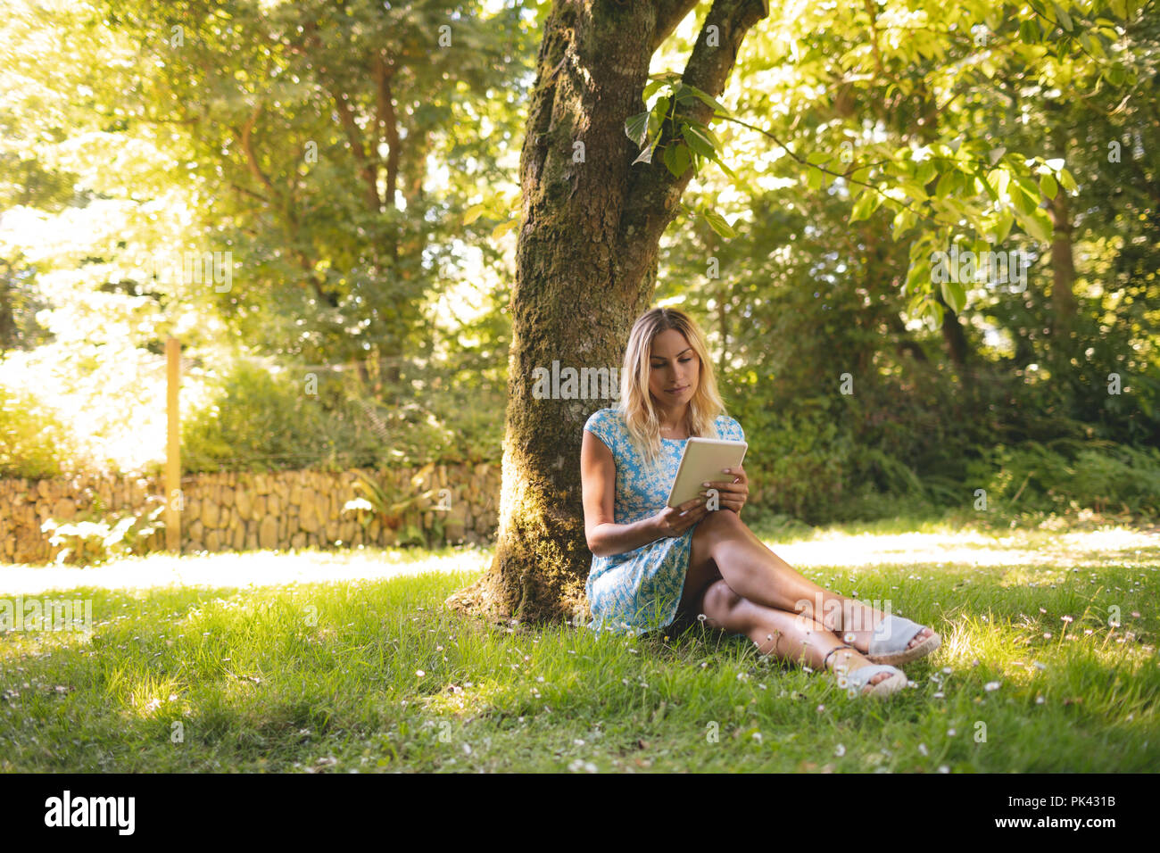 Frau mit digitalen Tablet im Park Stockfoto