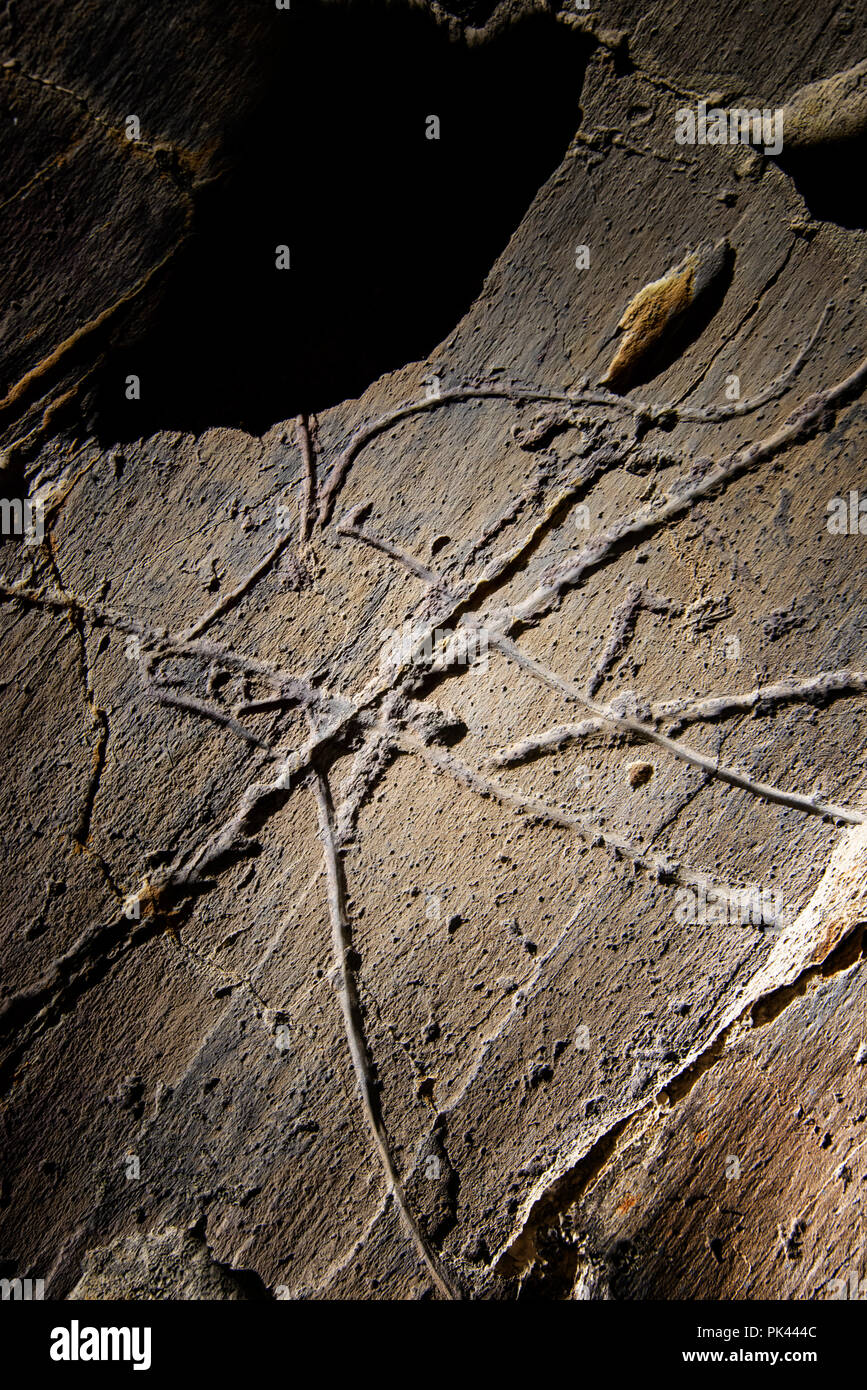 Prähistorische Felsmalereien, Coa Valley archäologischen Park (Parque Arqueologico do Vale do Côa), einem UNESCO-Weltkulturerbe. Vila Nova de Foz Côa, Alto D Stockfoto