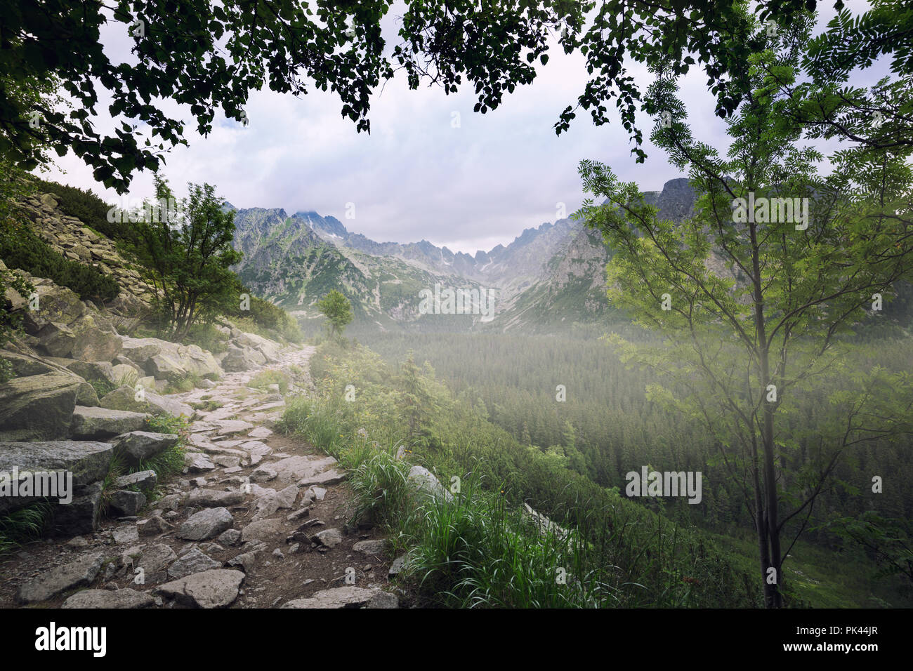 Eine malerische Berg Trail Stockfoto