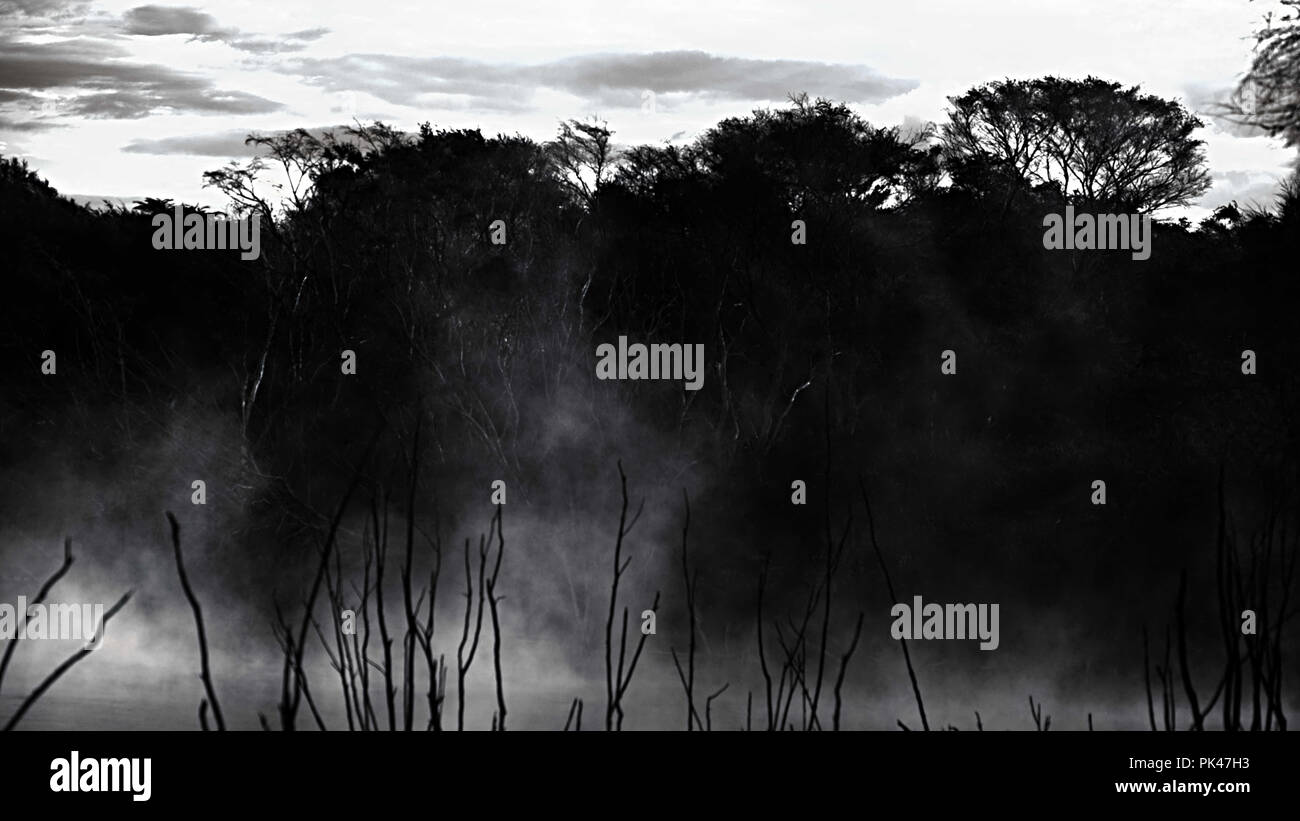 B&w, starken Kontrast pic in einem thermischen See in Rotorua, Neuseeland Stockfoto