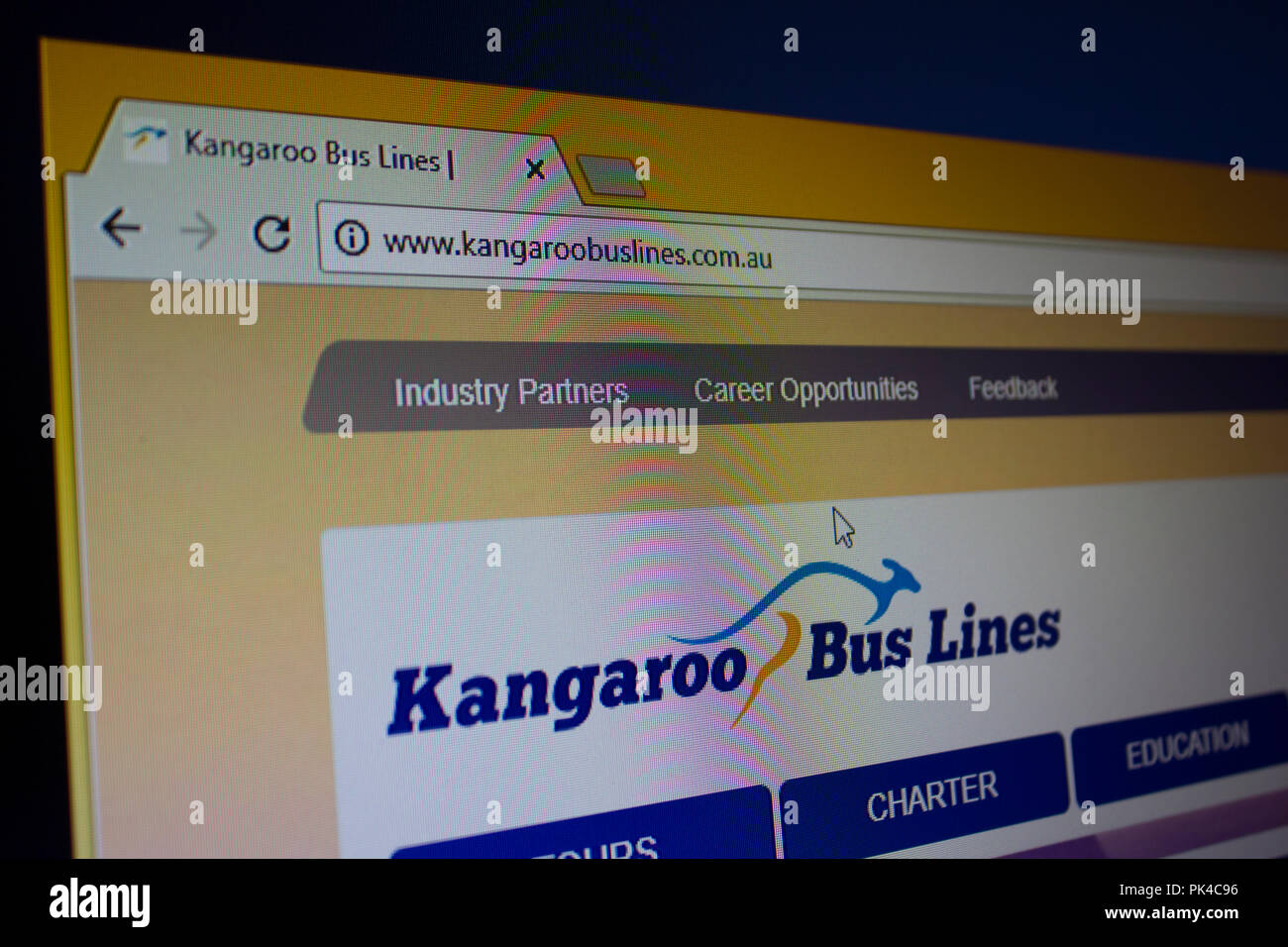 Kangaroo Buslinien Homepage Stockfoto