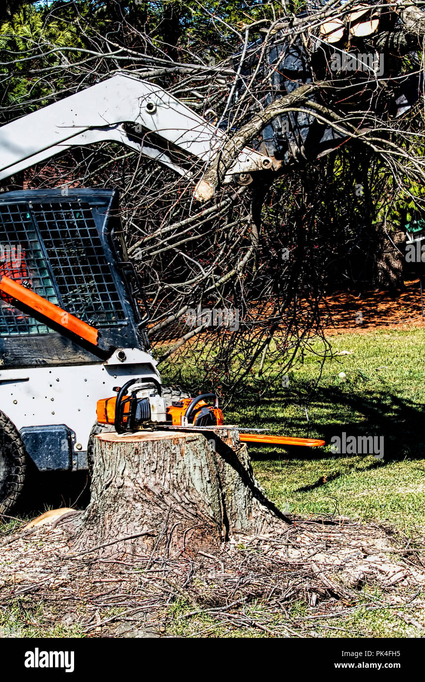 Landschaftsgestalter zusammen mit schwerem Gerät entfernen Großer Ahornbaum für Hausbesitzer. Bull Dozer, Lkw, Rundholz entfernt werden Stockfoto