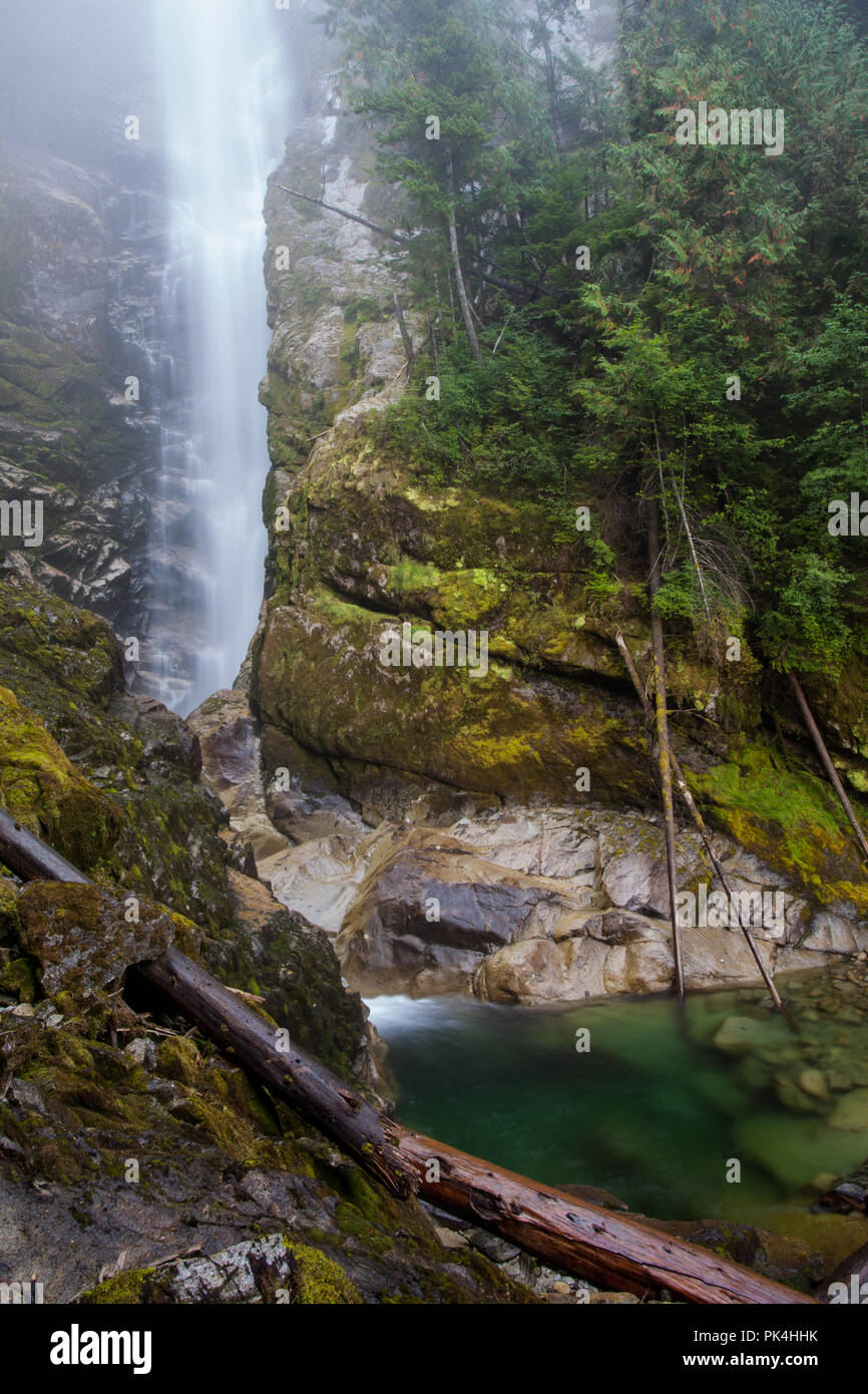 Wasserfall im Knight Inlet Stockfoto