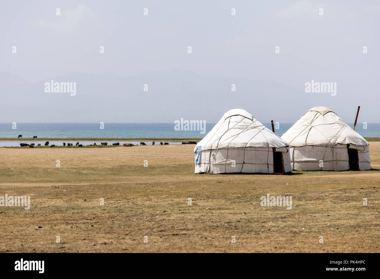 Traditionelle Jurtencamp an Song Kul See in Kirgisistan Stockfoto