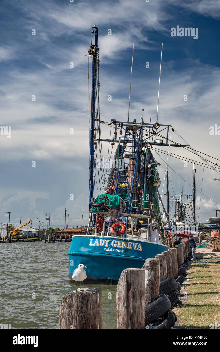 Shrimpboat am Hafen in Palacios, Golfküste, Texas, USA Stockfoto