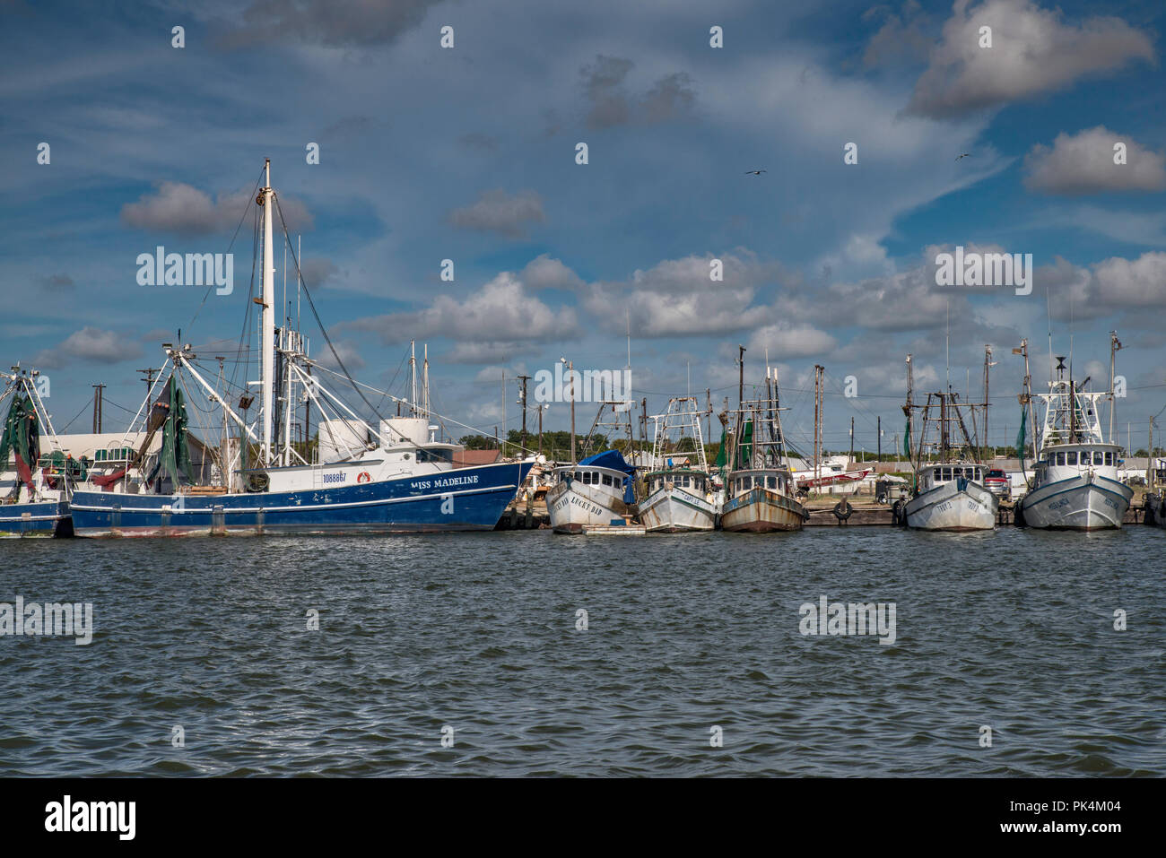 Shrimpboats am Hafen in Palacios, Golfküste, Texas, USA Stockfoto