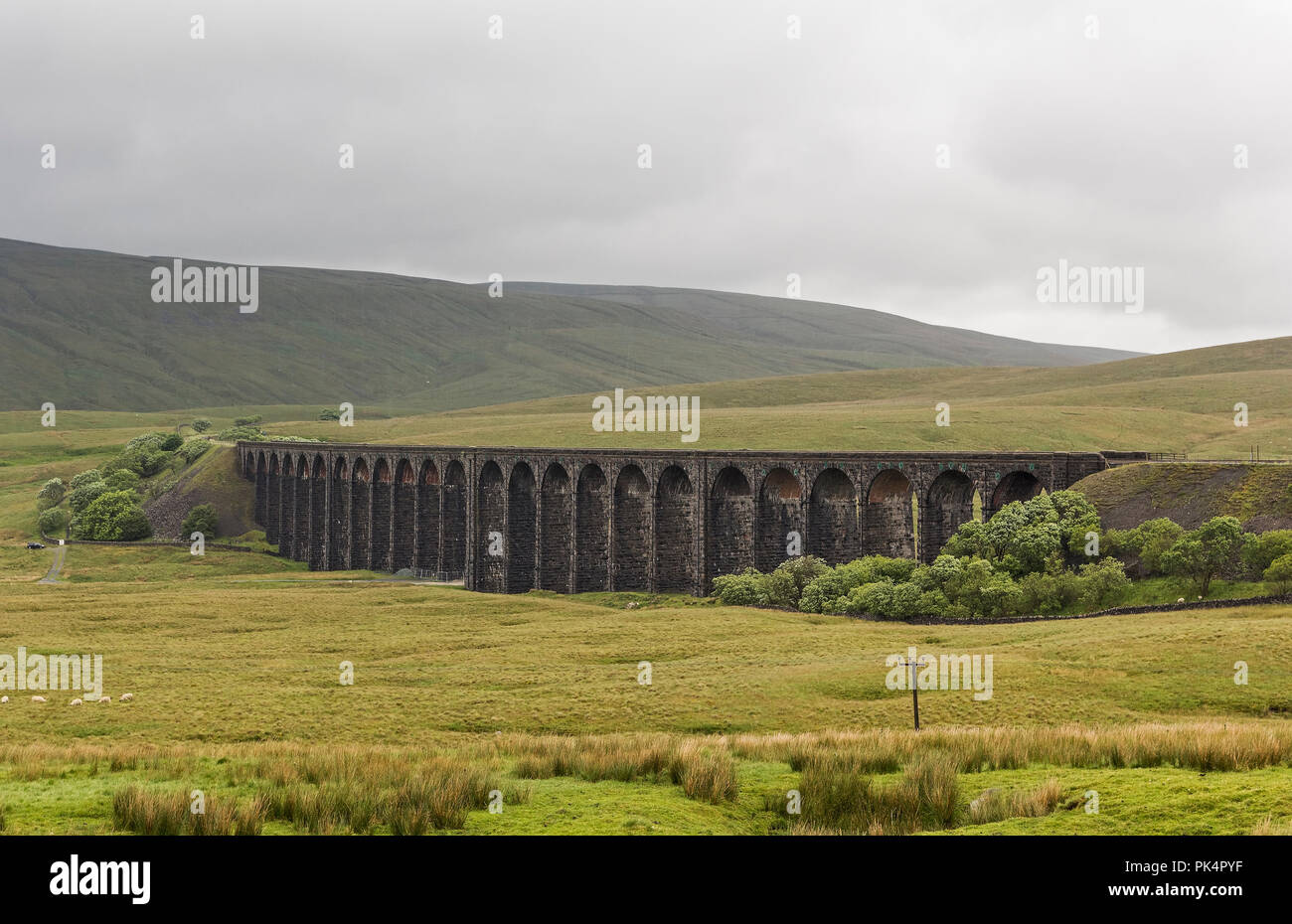 Ribblehead Viadukt in Carnforth, North Yorkshire von Ingenieur John Sydney Crossley der Midland Railway entwickelt für die Settle Carlisle Railway.. Stockfoto