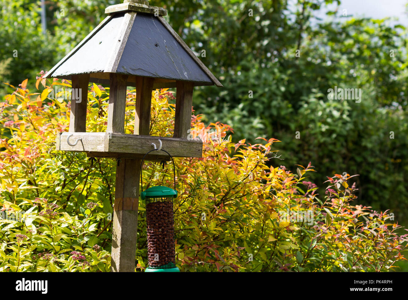 Vogel Tabelle und Bird Feeder mit Muttern neben einem Busch und Hecken. Stockfoto