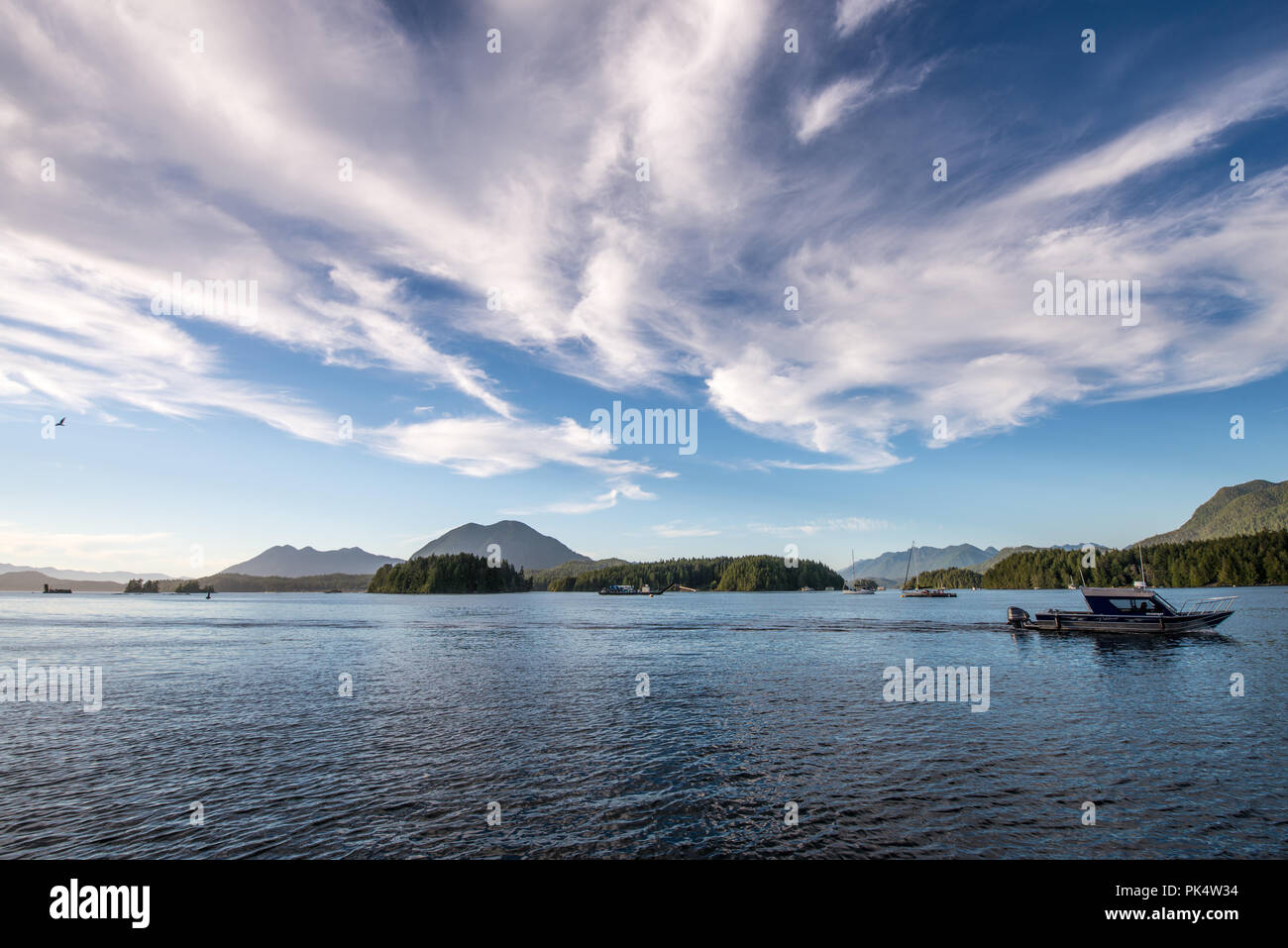 Tofino, Vancouver Island, Kanada Stockfoto