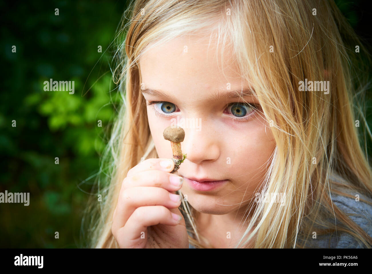 Kind blong Mädchen im Wald posing und halten frisch gepflückt Pilze (Steinpilze). Selektiver Fokus Stockfoto