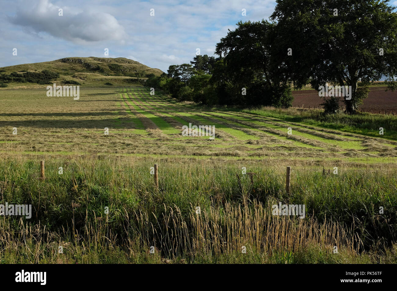 Landwirtschaftliche Flächen bei Hume, Berwickshire, Scottish Borders UK. Stockfoto