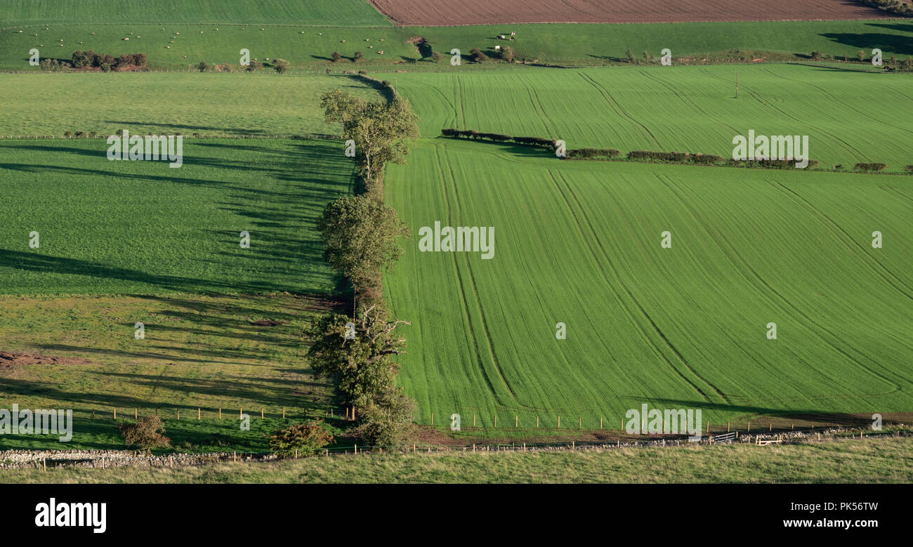 Suchen von Hume Schloss in Berwicvkshire, südwärts über reiche Ackerland Stockfoto