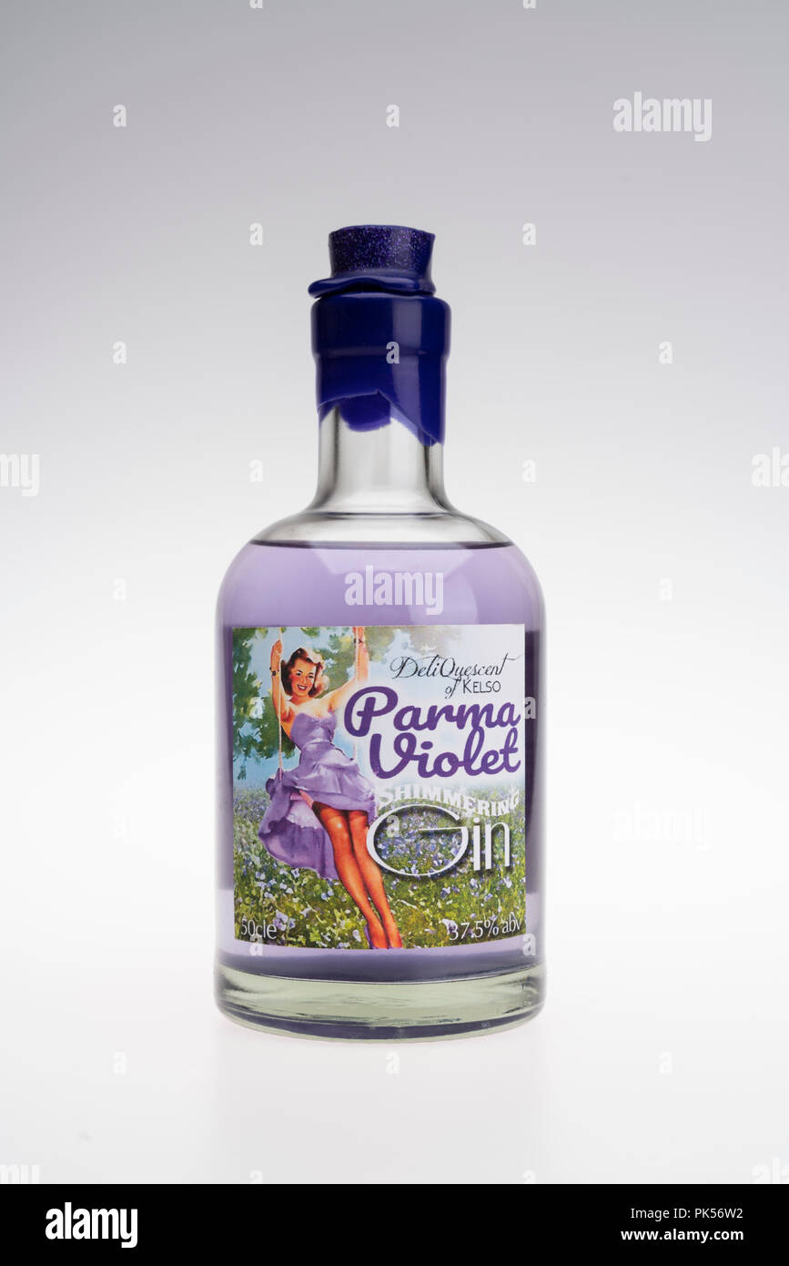 Schimmernde Parma Veilchen, eine Boutique gin aus dem Schottischen Deliqueszenten Marke von Kelso (Scottish Borders). Stockfoto