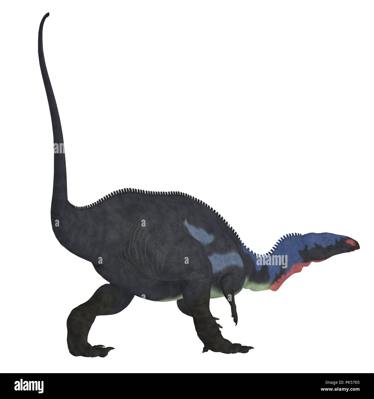 Camptosaurus Dinosaurier Schwanz - Camptosaurus war ein Pflanzenfresser Therapsiden, dass in Nordamerika während der Kreidezeit lebten. Stockfoto