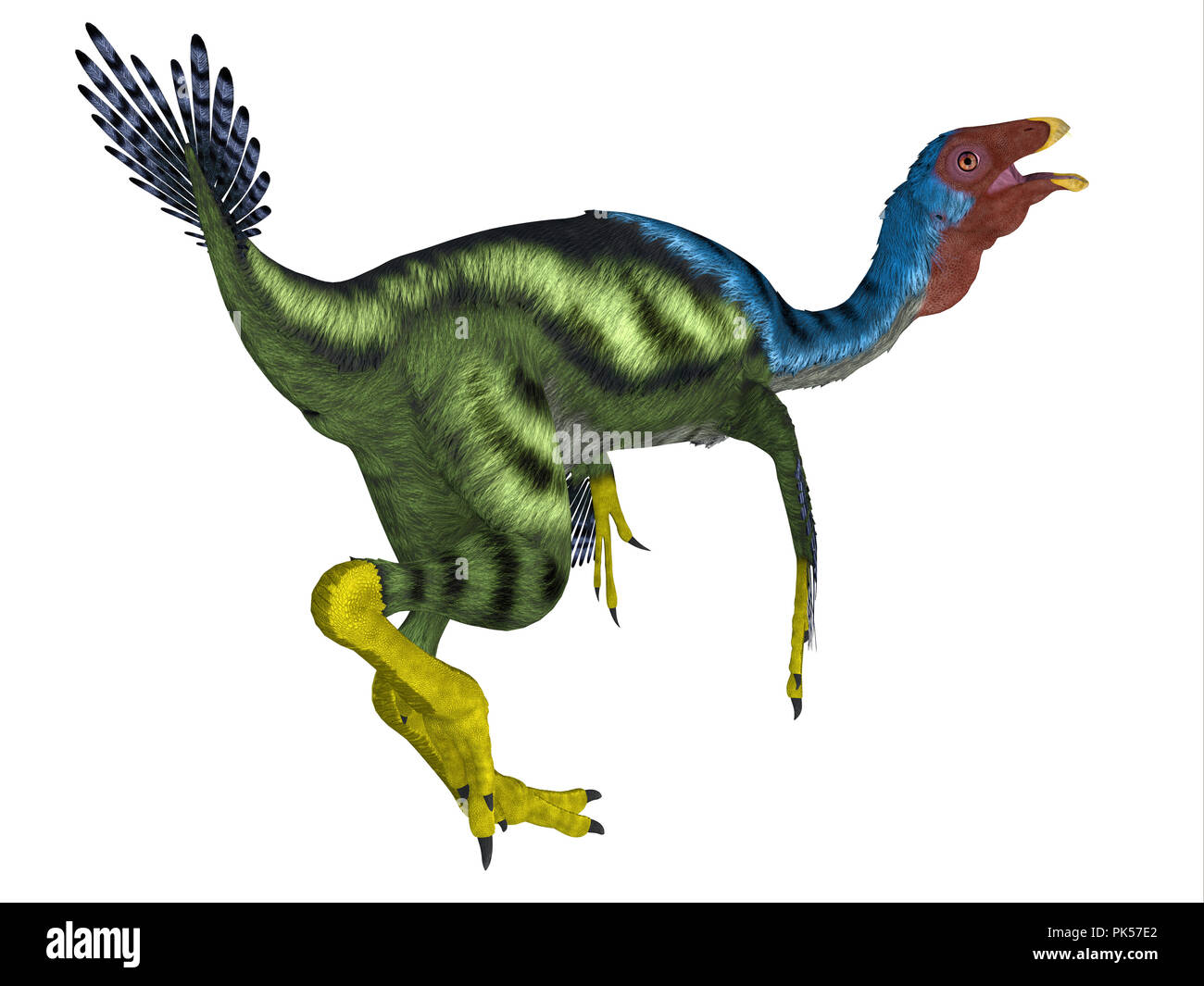 Caudipteryx Dinosaurier Schwanz - caudipteryx war ein oviraptor beaked fleischfressenden Dinosaurier, die in China in der Kreidezeit lebten. Stockfoto