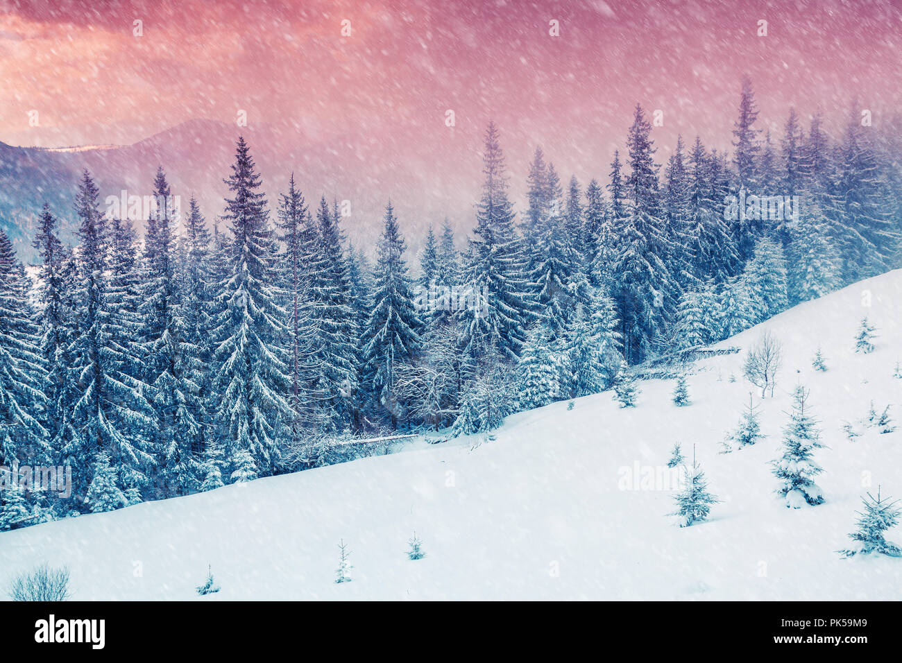Bunte winter Szene in die Karpaten. Stockfoto