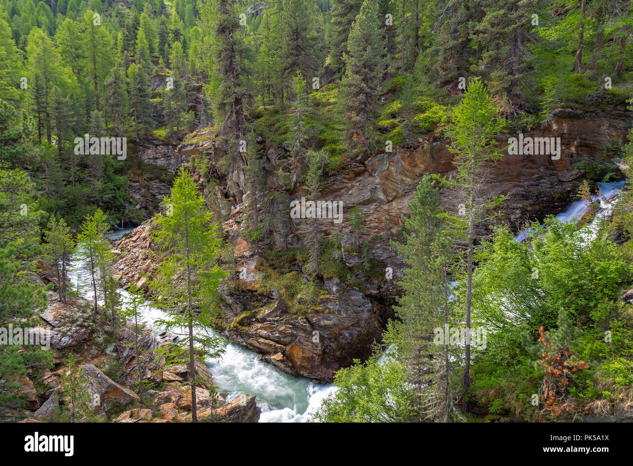 Plima Schlucht im Martelltal, Südtirol Stockfoto