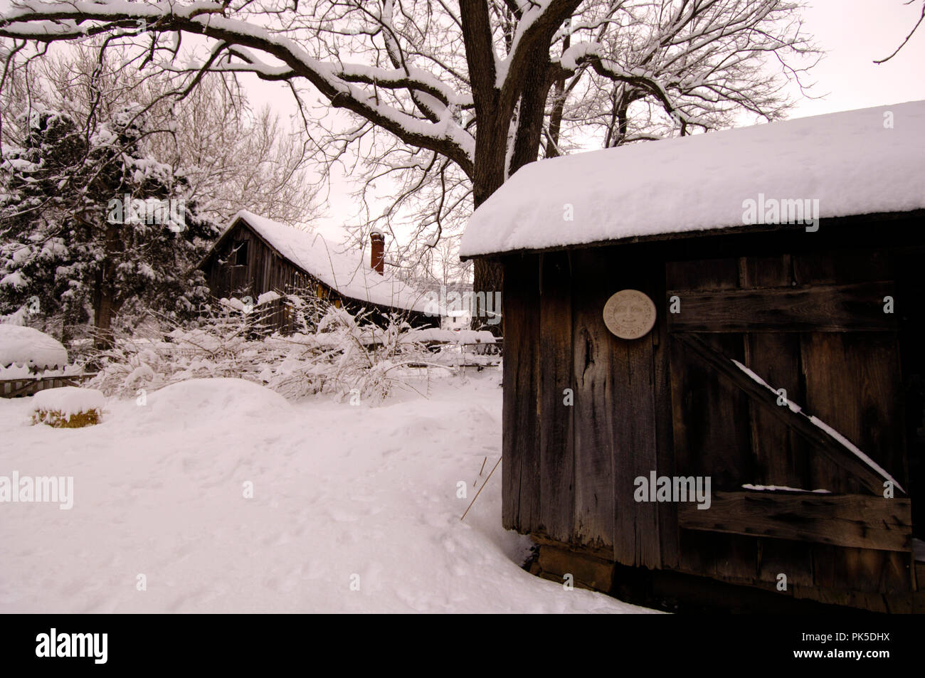 Schneefall in der Blueridge Mountains von Virginia Aufzeichnung gedumpten mindestens ein Fuß Schnee auf dem Pine Grove in Bluemont in Clarke County, Virginia gelegen. Stockfoto