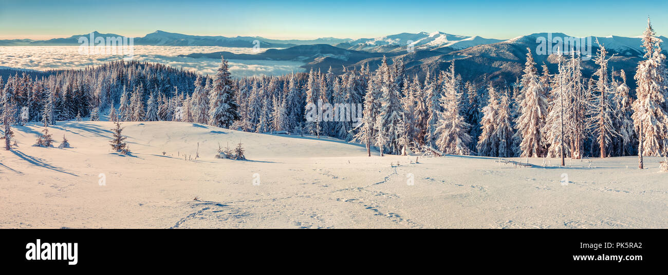 Panorama auf der sonnigen Wintermorgen in den Karpaten. Stockfoto
