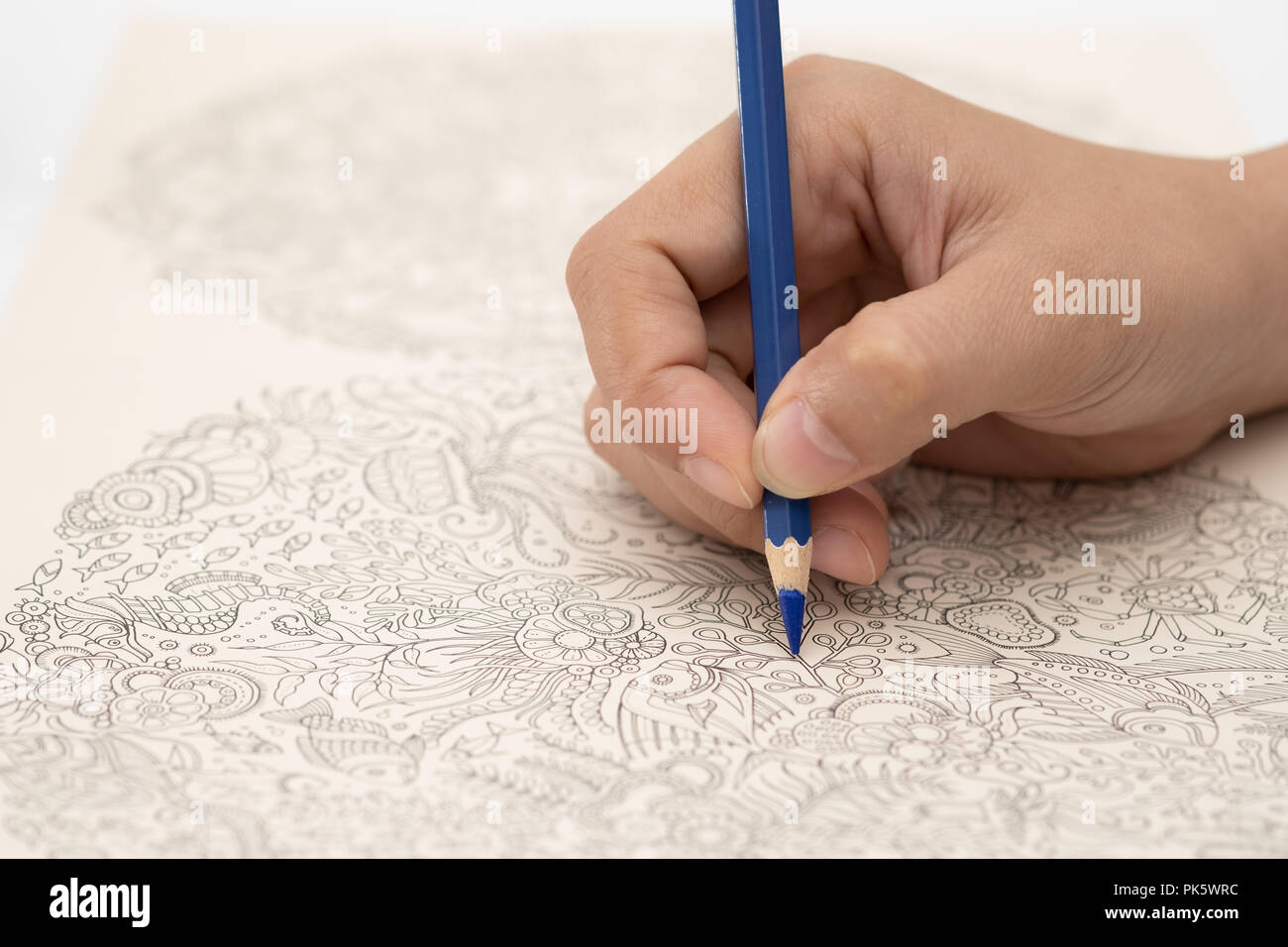 Weibliche hand mit bunten Bleistift malen auf Doodle Book. Stockfoto