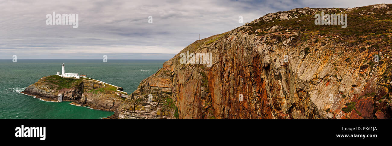 South Stack Lighthouse und Klippen an der Küste von Anglesey, Nordwales Stockfoto