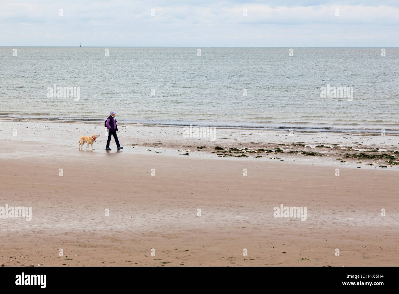 Spaziergang mit dem Hund am Strand, Herbst, Kent, Großbritannien Stockfoto