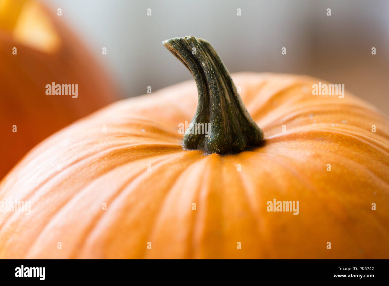 Nahaufnahme der Kürbis mit Stammzellen Stockfoto