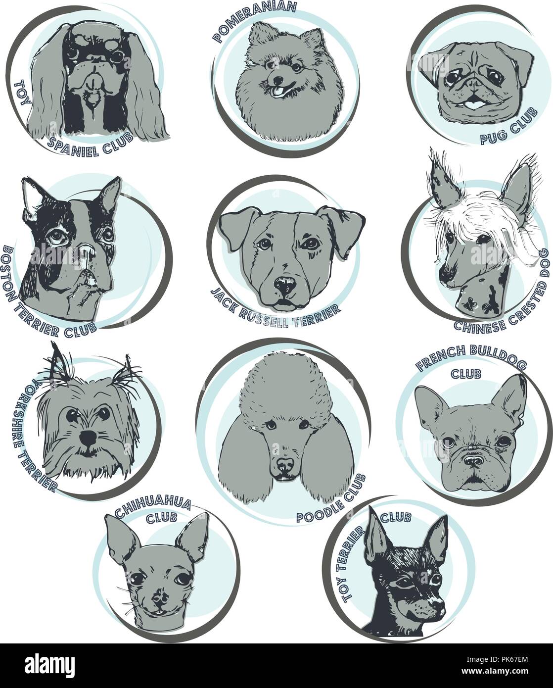 Hund Vector Illustration. Hand Hund Rasse Porträts mit Namen gezeichnet.  Skizze von Reinrassigen kleine Hunde. T-shirt Druckvorlage für  Hundefreunde. Logo Elemente Stock-Vektorgrafik - Alamy