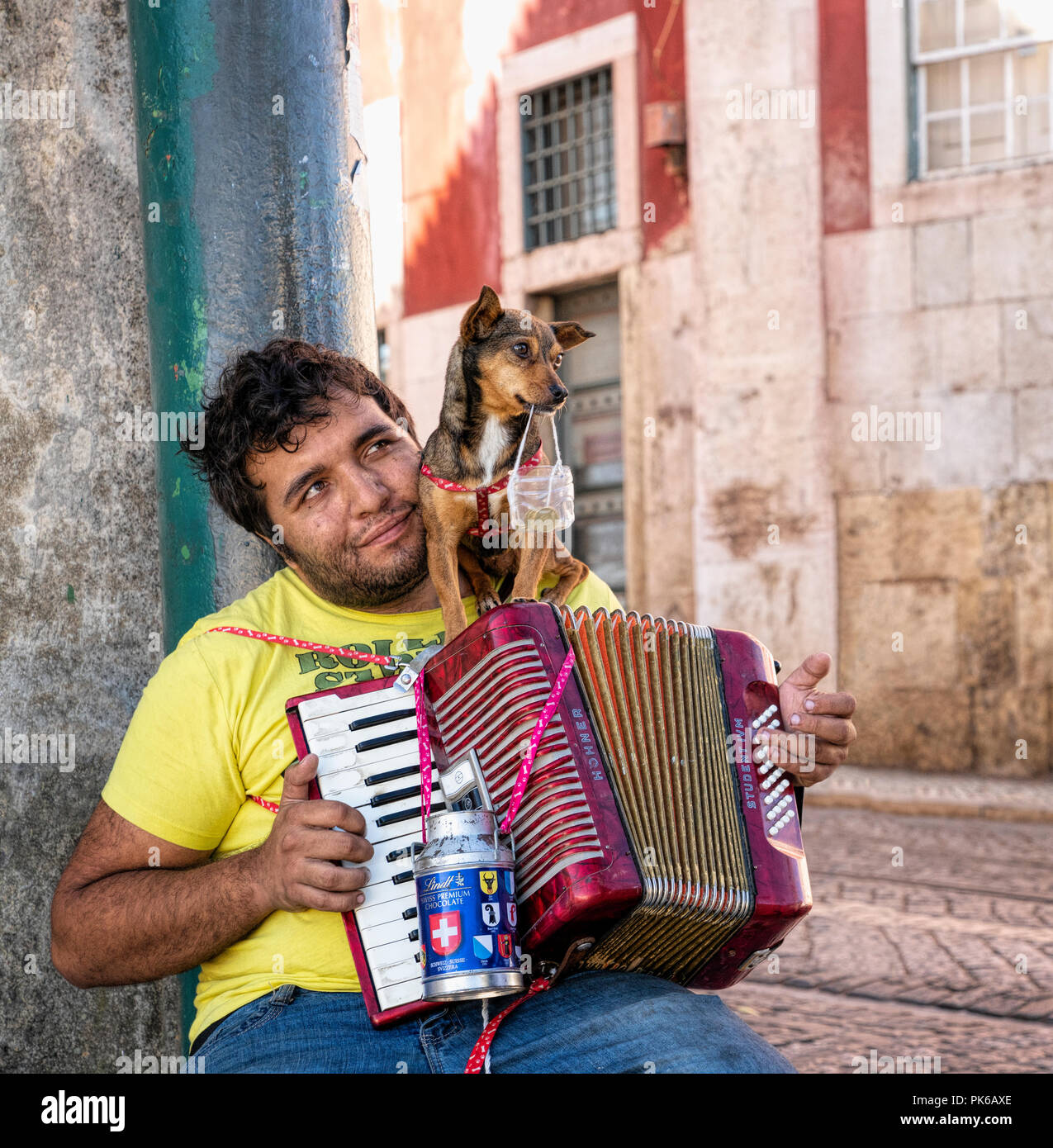 27. Oktober 2017 - Lisboa, Portugal. Männliche roma Zigeuner Gaukler, Musik zu spielen, die Touristen auf Akkordeon in der Altstadt von Lissabon mit niedlichen kleinen pet-d Stockfoto