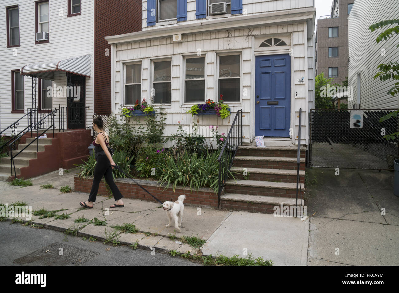 Frau geht ihren Hund im Windsor Terrace Nachbarschaft in Brooklyn, New York. Stockfoto