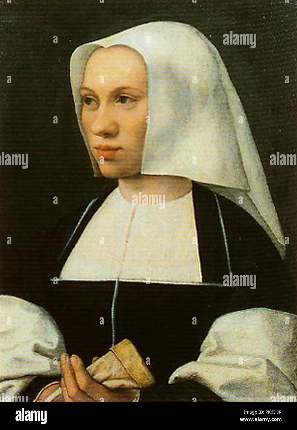 Bernaert Van Orley - Ritratto di Ignoto e di sua Moglie 02. Stockfoto