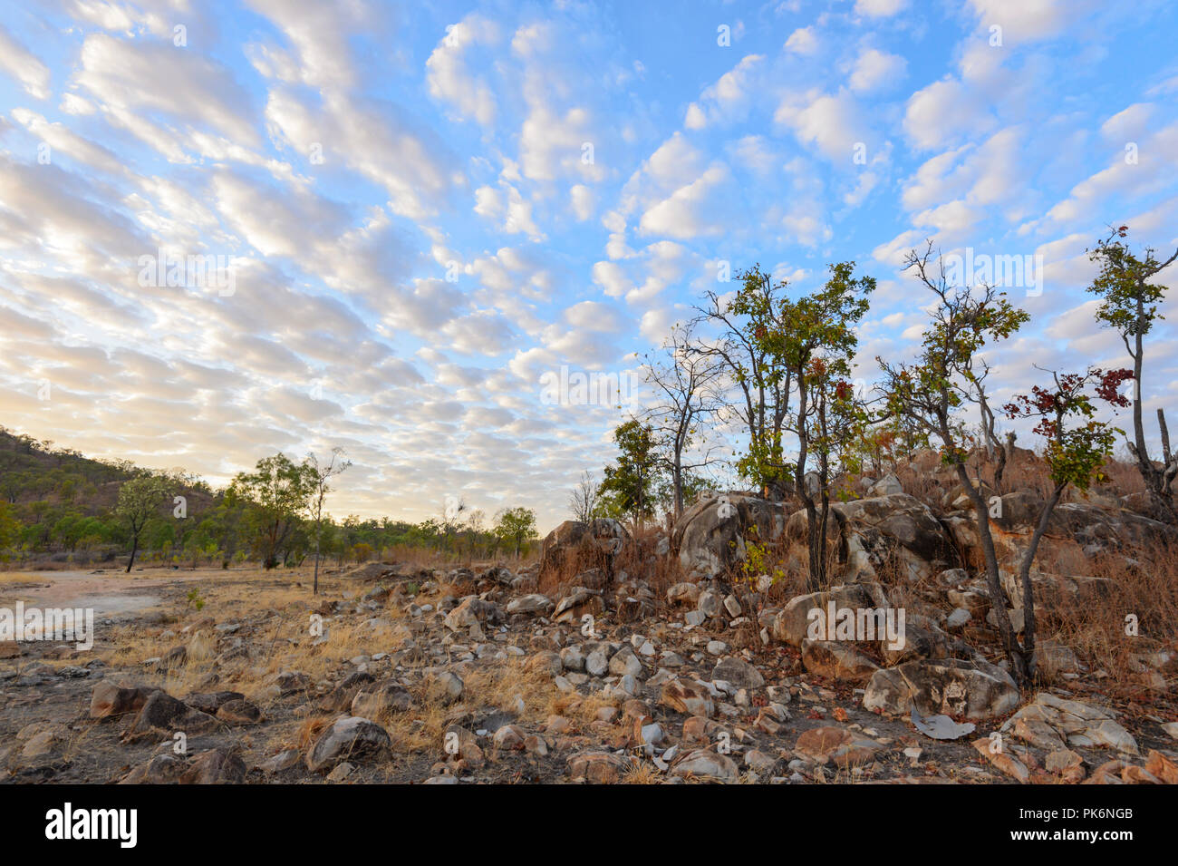 Macquerel Himmel bei Sonnenaufgang am Chillagoe, Nord Queensland, Queensland, Australien Stockfoto