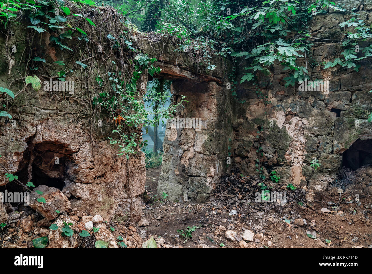 Alten, verlassenen Stone Gate im Wald. Eingang der gotische Ruinen. Stockfoto