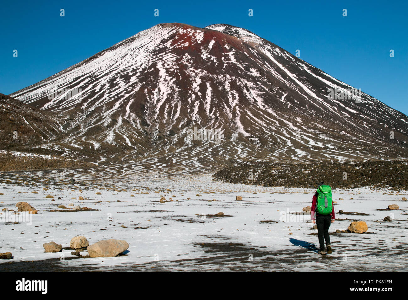 Rückansicht der Person - Traveler wandern und wandern mit Rucksack in Neuseelands Berge, zu Fuß in Richtung riesiger Vulkan Ngauruhoe Stockfoto