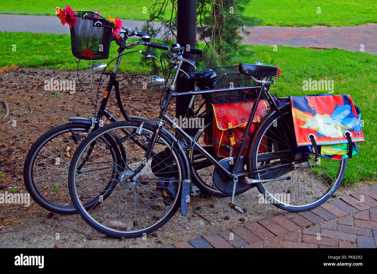 Fahrräder auf dem Campus am Oberlin College in Ohio. Stockfoto