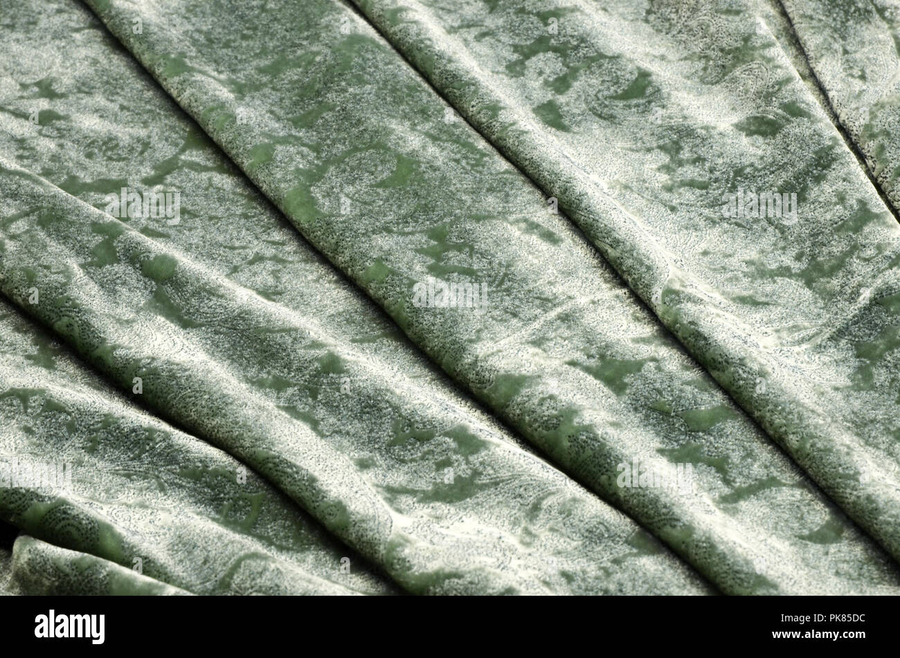 Seide Viskose Gewebe. Velvet mit blauem Muster spritzen auf Grün. Stockfoto