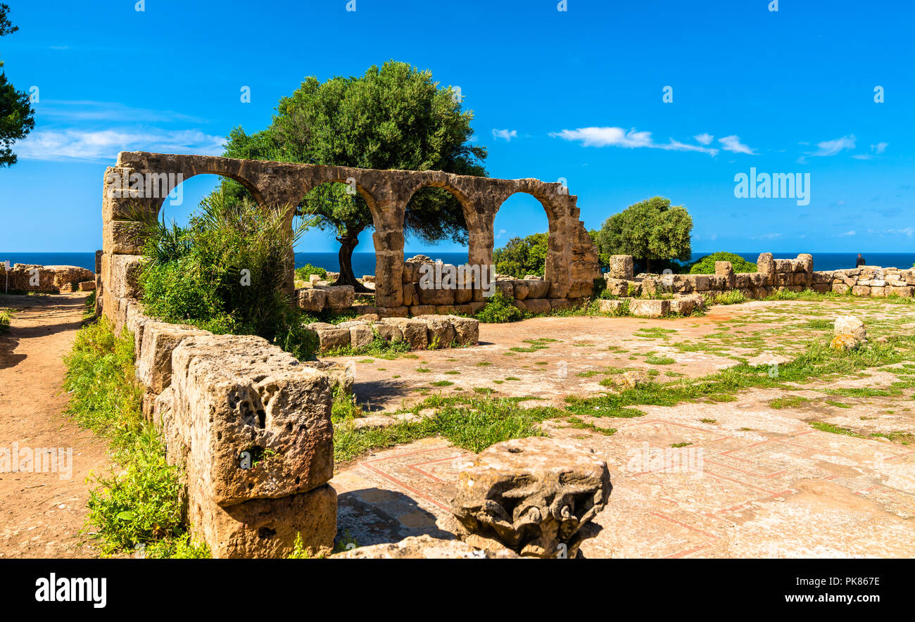 Ruinen von Tipasa, einem römischen Colonia in Algerien, Nord Afrika Stockfoto