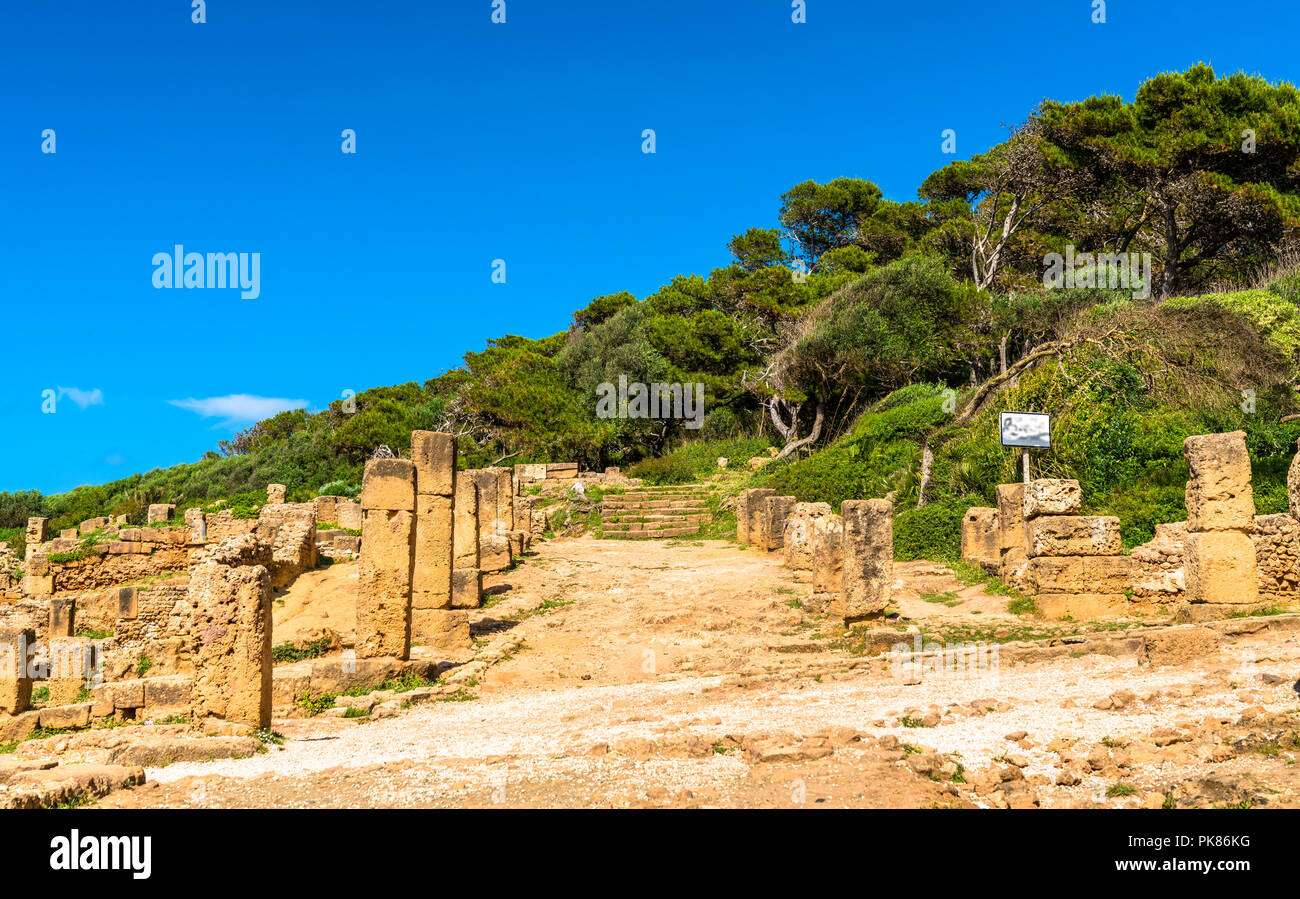 Ruinen von Tipasa, einem römischen Colonia in Algerien, Nord Afrika Stockfoto